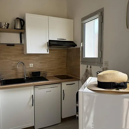 Apartment Duplex Renove Face A La Avec Balcon Et Parking - Fr-1-738-41 Saint-Palais-sur-Mer