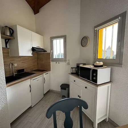 Duplex Renove Face A La Avec Balcon Et Parking - Fr-1-738-41