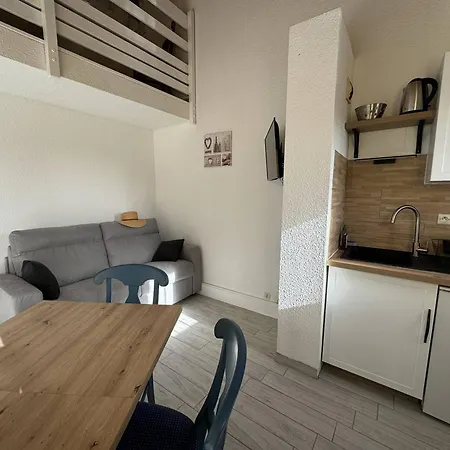 Duplex Renove Face A La Avec Balcon Et Parking - Fr-1-738-41 *