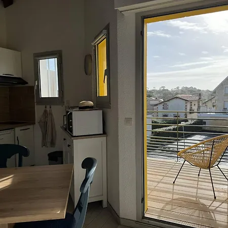 Duplex Renove Face A La Avec Balcon Et Parking - Fr-1-738-41 Apartment Saint-Palais-sur-Mer